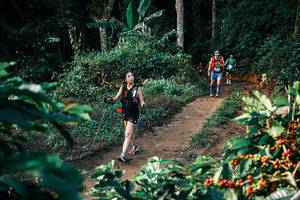 BIB: 
                            <button type="button" onclick="openModal(25826705)" class="btn btn-primary btn-sm float-right btn-popup" data-toggle="modal" data-target=".modal-high-quality">
                        <i class="fas fa-shopping-cart"></i> Add to Cart
                    </button>
                                            <button type="button" onclick="isThisMe(25826705, true)" class="btn btn-success btn-sm float-right btn-popup btn-isme hidden" data-toggle="tooltip" data-placement="bottom" title="นี่คือรูปของคุณใช่ไหม คลิกที่นี่เพื่อเอาเข้าอัลบั้ม">
                        <i class="fas fa-plus"></i> Add to album
                    </button>
                    <button type="button" onclick="isThisMe(25826705, false)" class="btn btn-warning btn-sm float-right btn-popup btn-isnotme hidden">
                        <i class="fas fa-ban"></i> Remove from album
                    </button>